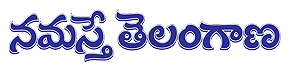 Services Advertisement in Namasthe Telangana